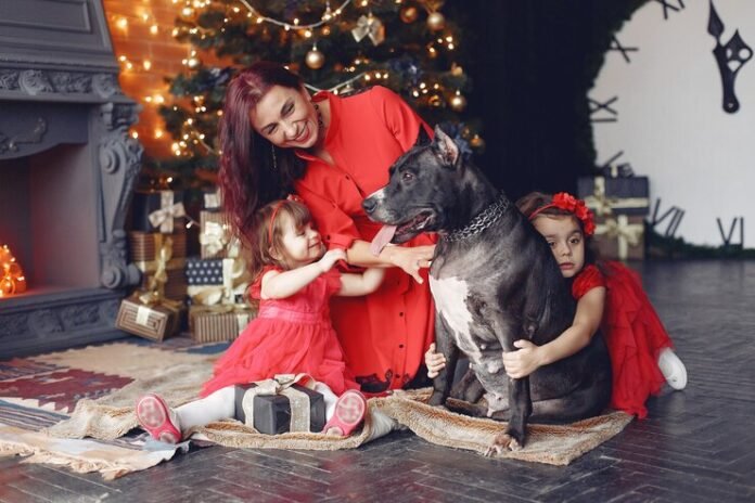 petsmart santa photos