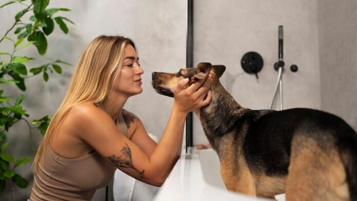 petsmart dog grooming
